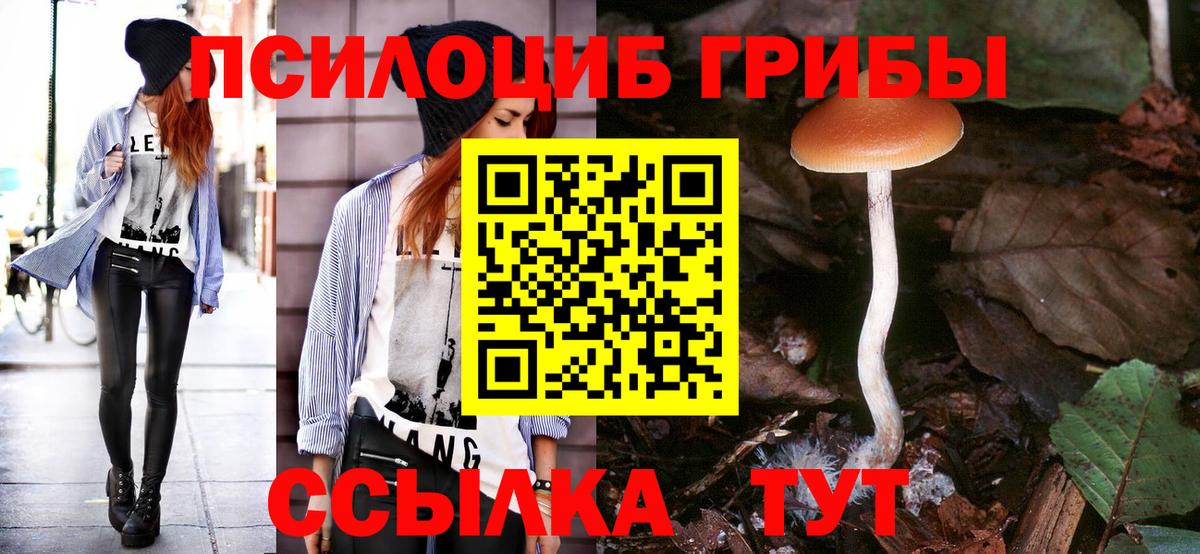 Россошь  Псилоцибиновые грибы GOLDEN TEACHER  где купить наркоту  Вход с VPN  Галлюциногенные грибы GOLDEN TEACHER 